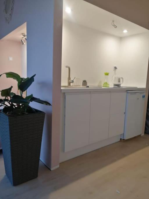 Wapnica  Beautiful Located Dome酒店 外观 照片